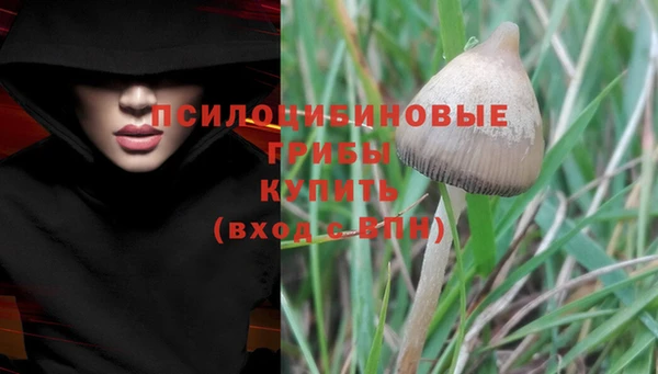 индика Заволжск