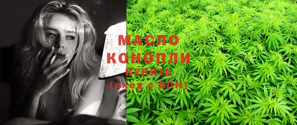 индика Заволжск