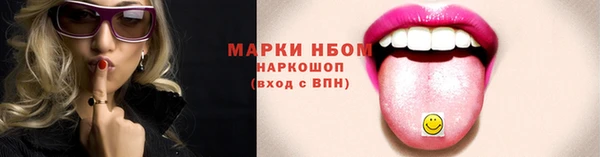 индика Заволжск