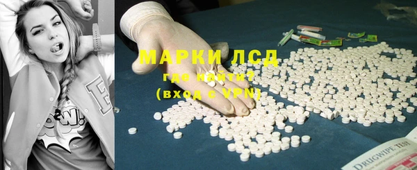 индика Заволжск