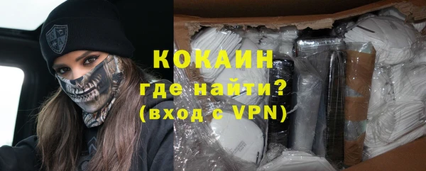 индика Заволжск