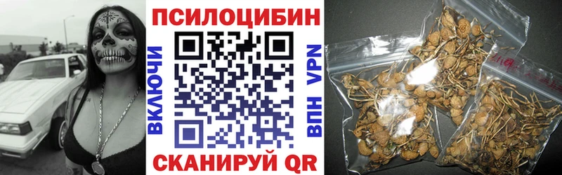 Псилоцибиновые грибы GOLDEN TEACHER  цены   Серпухов 